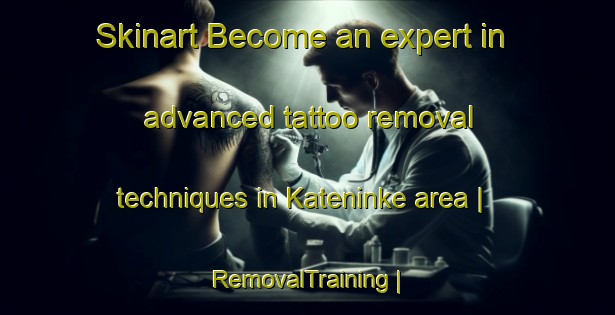 Skinart Become an expert in advanced tattoo removal techniques in Kateninke area | RemovalTraining | RemovalClasses | SkinartTraining-Côte d Ivoire